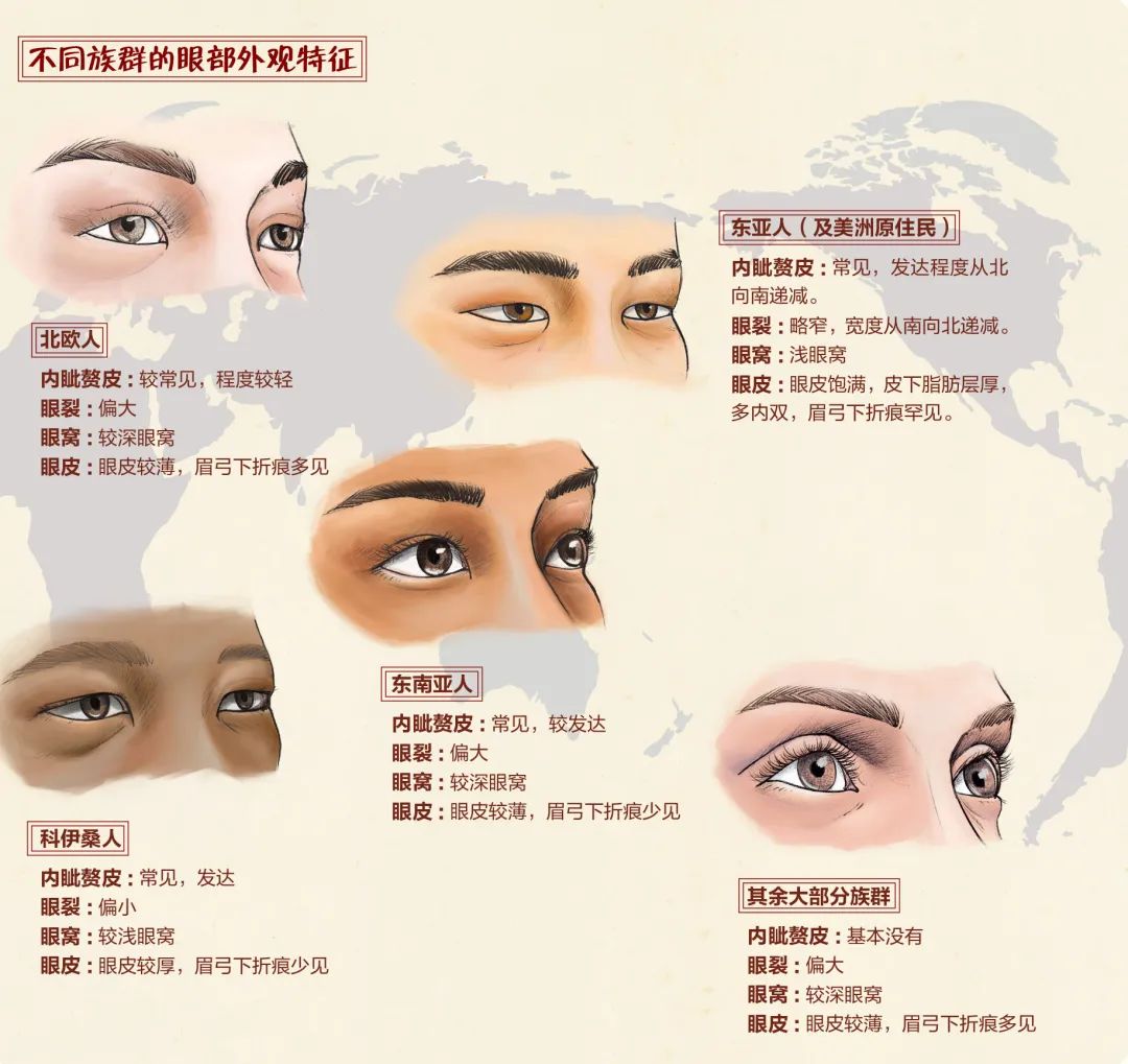 南方与北方|你的相貌平平无奇？可能是被地理环境限制了！