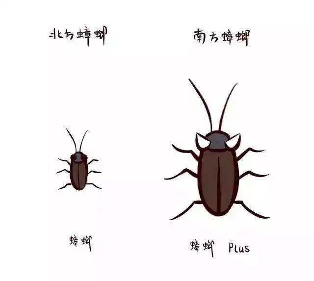 南方与北方|你的相貌平平无奇？可能是被地理环境限制了！