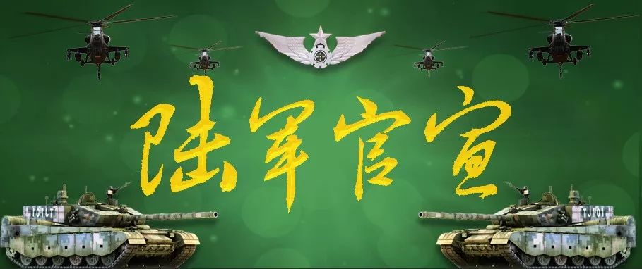 陆军,军事|子弟兵所到之处，人民群众的敬礼太煽情了