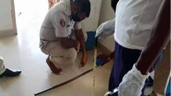 国际社会|印度妇女被两个儿子用塑料袋捂嘴致死，死前还被铁棒击打