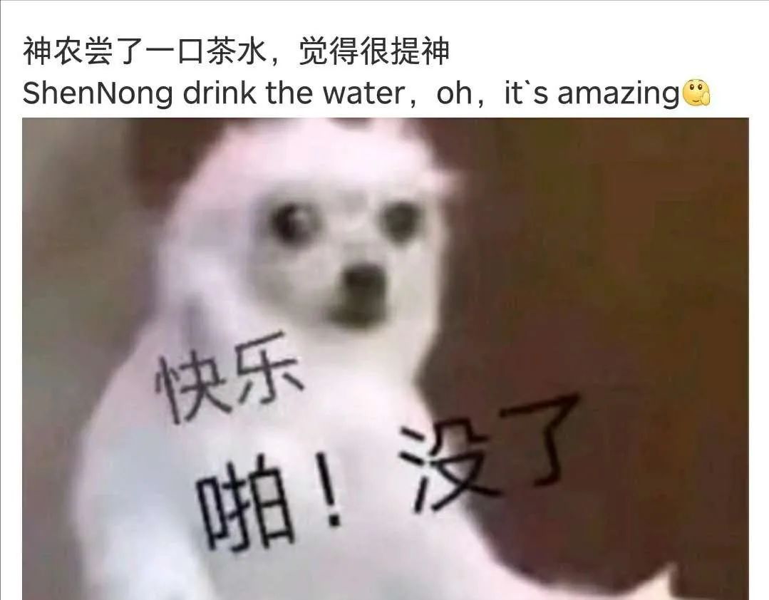 四六级|四六级考试结束!这道题把人“烤”“醉”了