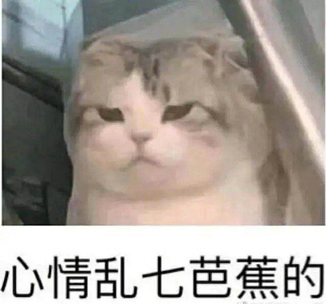 四六级|四六级考试结束!这道题把人“烤”“醉”了