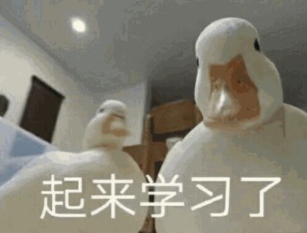 四六级|四六级考试结束!这道题把人“烤”“醉”了