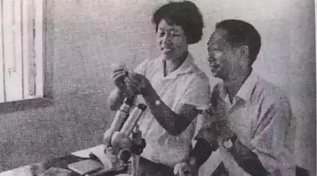 袁隆平|90岁袁隆平“撒狗粮”！相恋一个月闪婚，却宠她57年