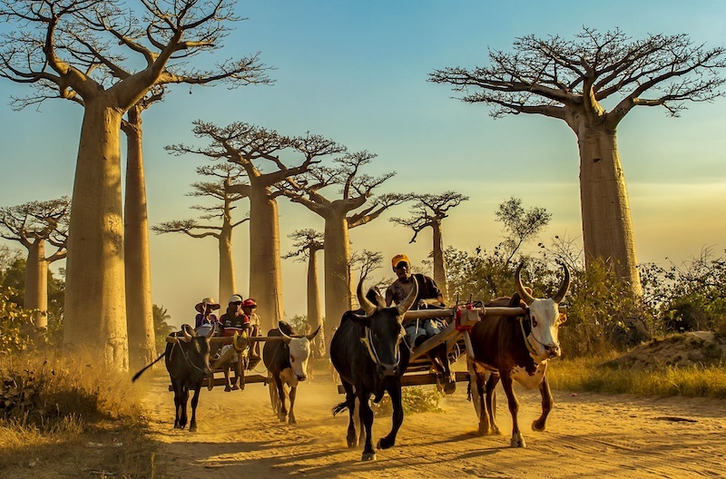 占领华尔街|格雷伯的礼物丨访谈:“直接行动”与“预兆性政治”