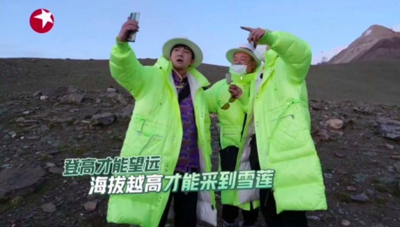 植物|《极限挑战》节目组致歉：没有实际发生采摘珍稀植物的行为