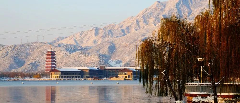 列车|从清河出发，“最美”列车今起恢复正常运营！还有好消息……