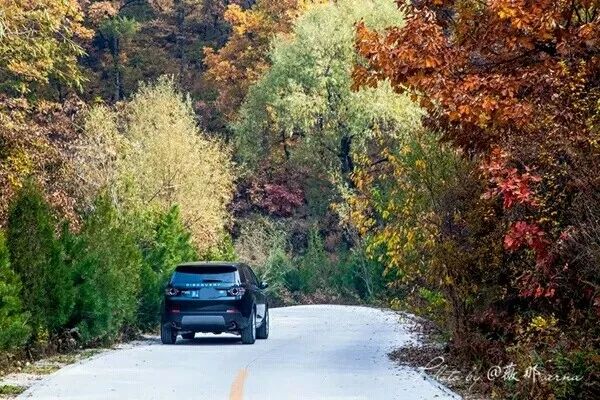 列车|从清河出发，“最美”列车今起恢复正常运营！还有好消息……