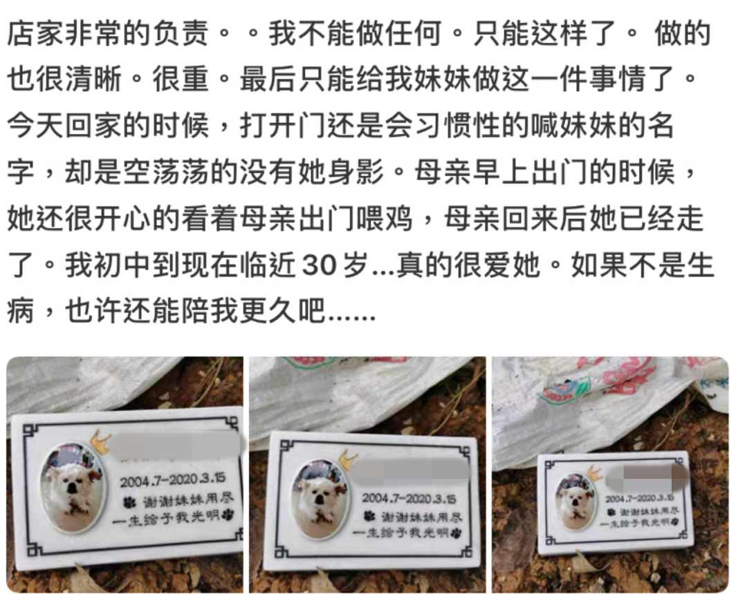 视觉志|网购买家秀的好评：这是我最后一次为她花钱了……