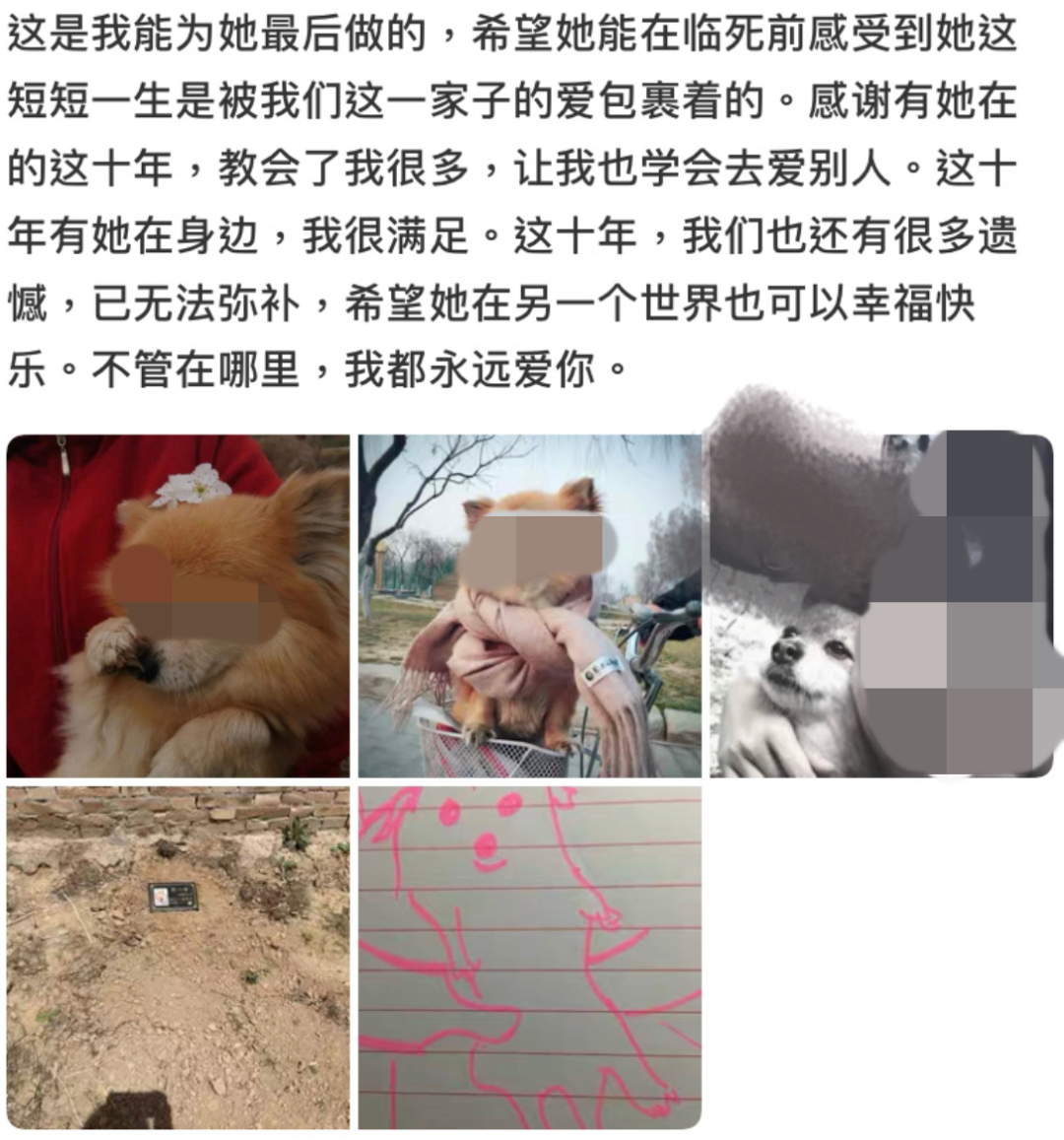 视觉志|网购买家秀的好评：这是我最后一次为她花钱了……