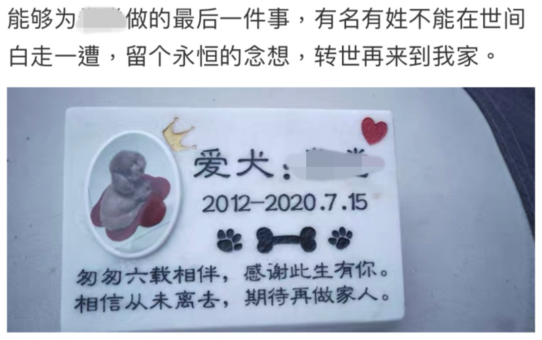 视觉志|网购买家秀的好评：这是我最后一次为她花钱了……