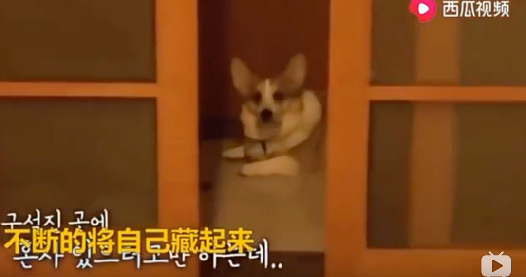 视觉志|网购买家秀的好评：这是我最后一次为她花钱了……