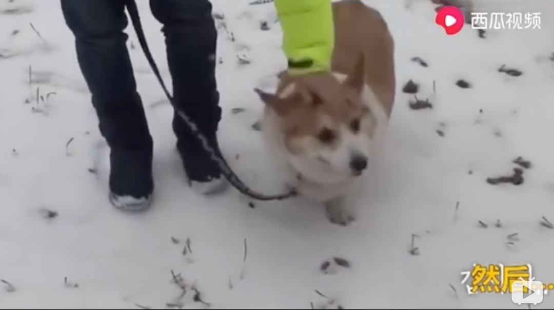 视觉志|网购买家秀的好评：这是我最后一次为她花钱了……