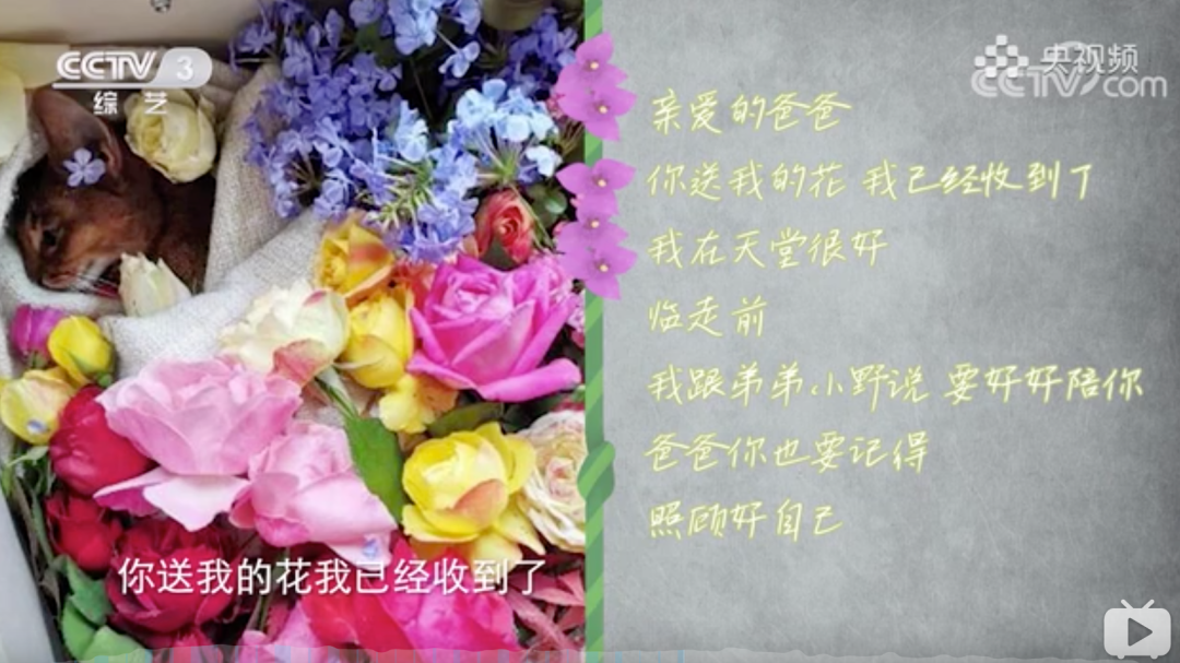 视觉志|网购买家秀的好评：这是我最后一次为她花钱了……