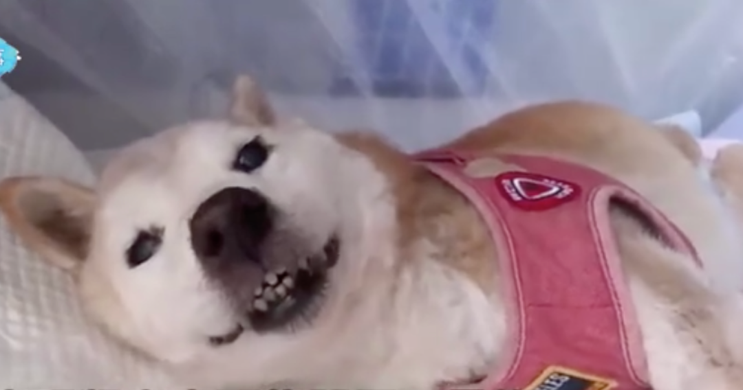 视觉志|网购买家秀的好评：这是我最后一次为她花钱了……