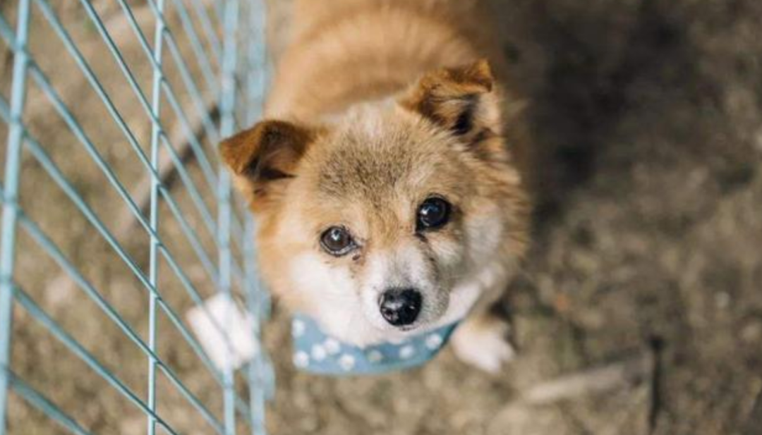 视觉志|网购买家秀的好评：这是我最后一次为她花钱了……