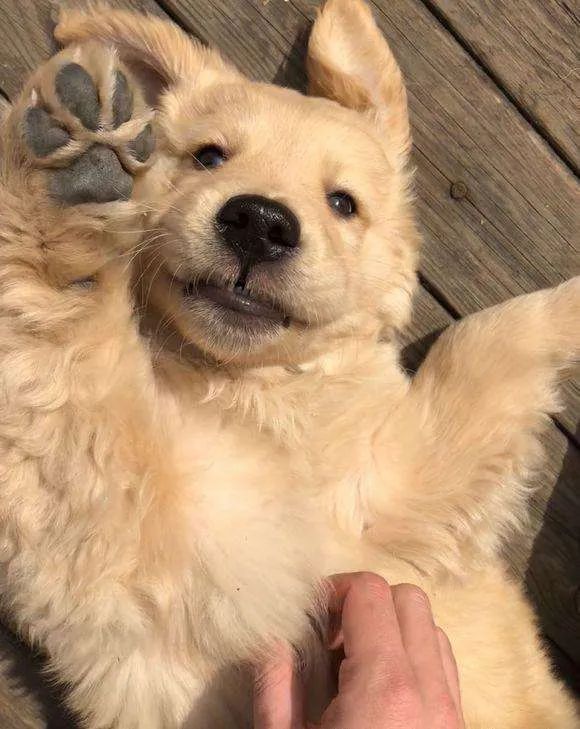 视觉志|网购买家秀的好评：这是我最后一次为她花钱了……