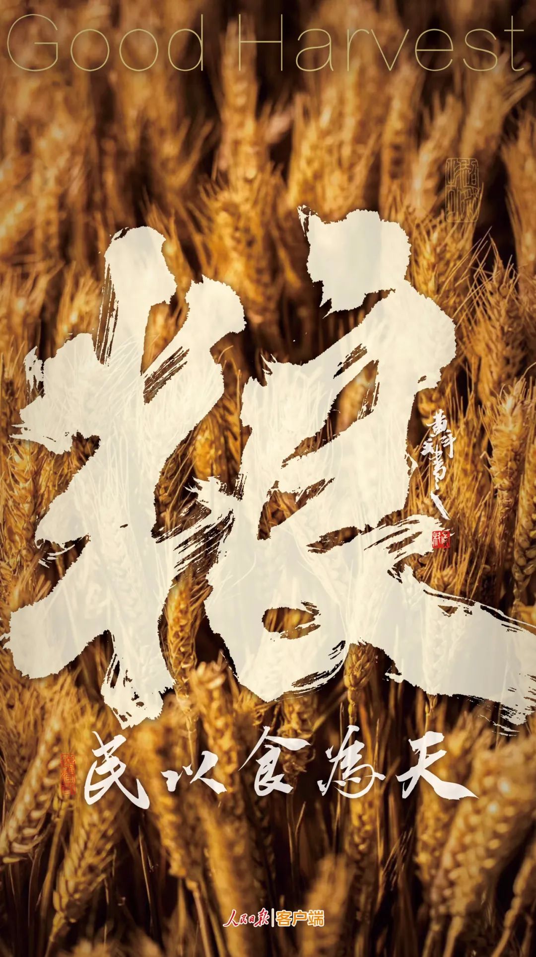 |九个字！感受中国丰收图景