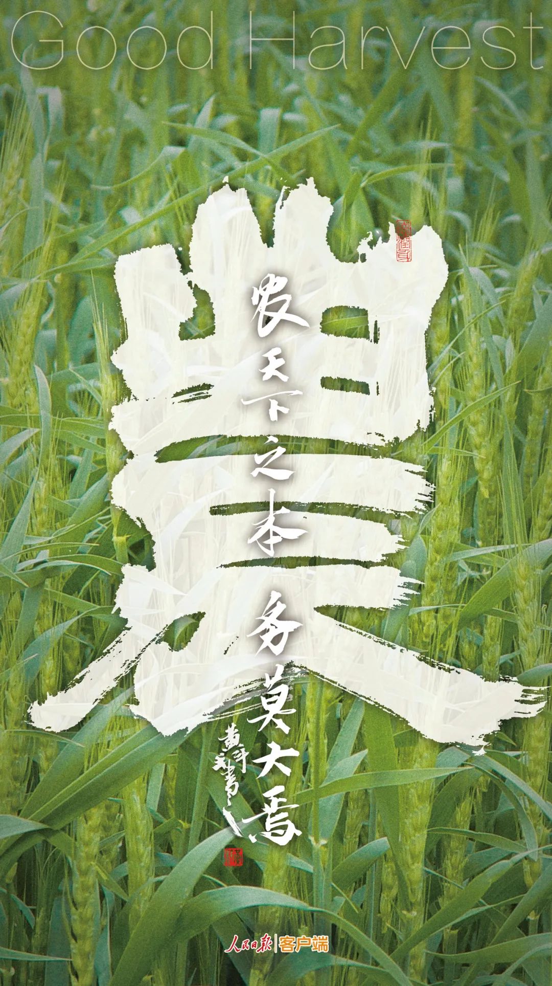 |九个字！感受中国丰收图景