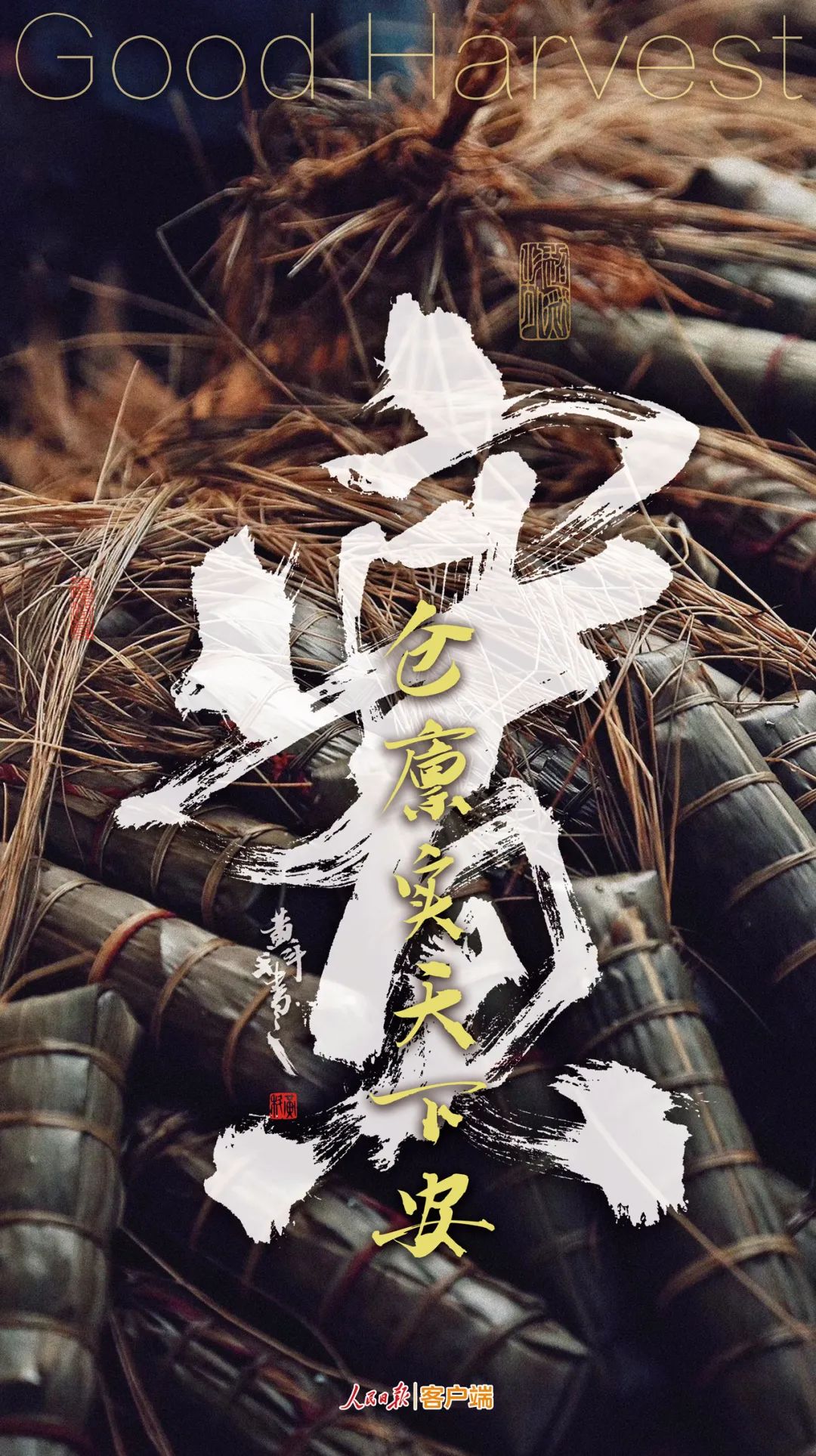 |九个字！感受中国丰收图景