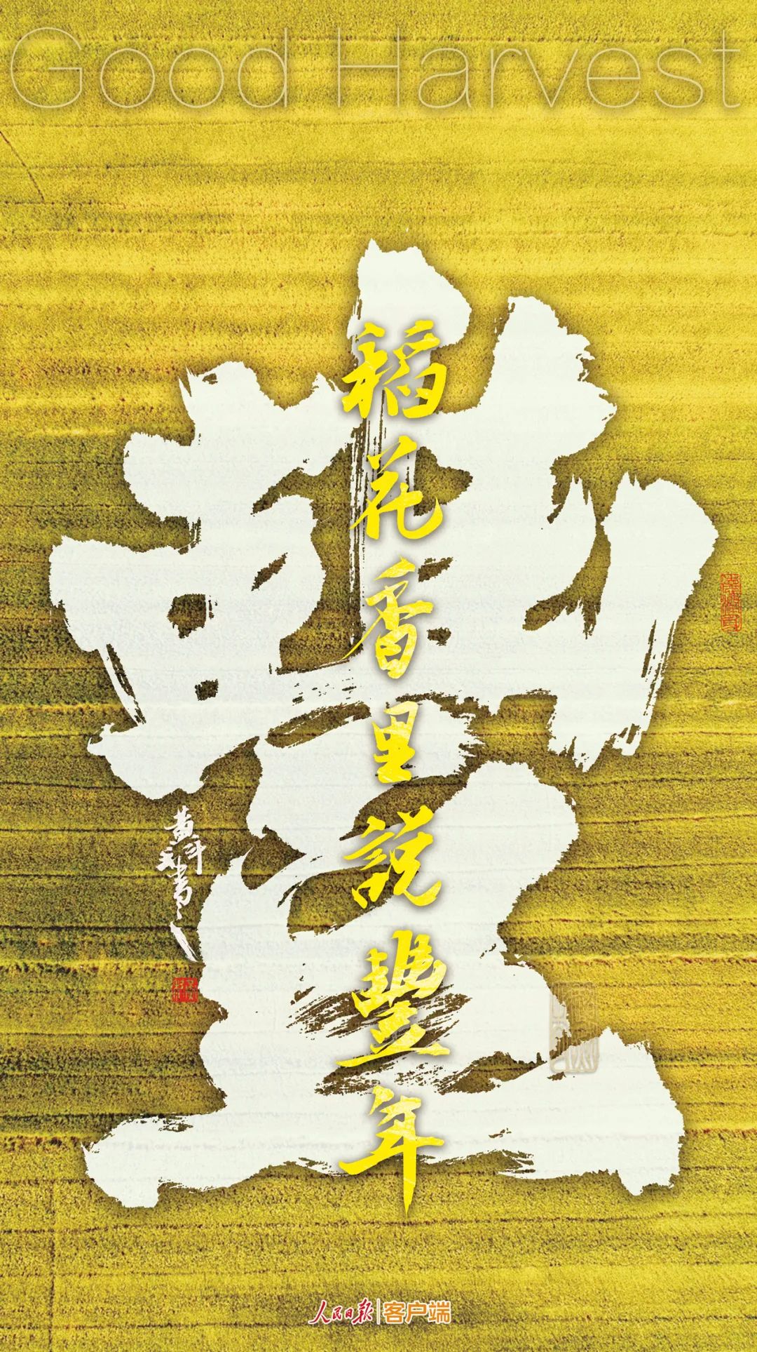 |九个字！感受中国丰收图景
