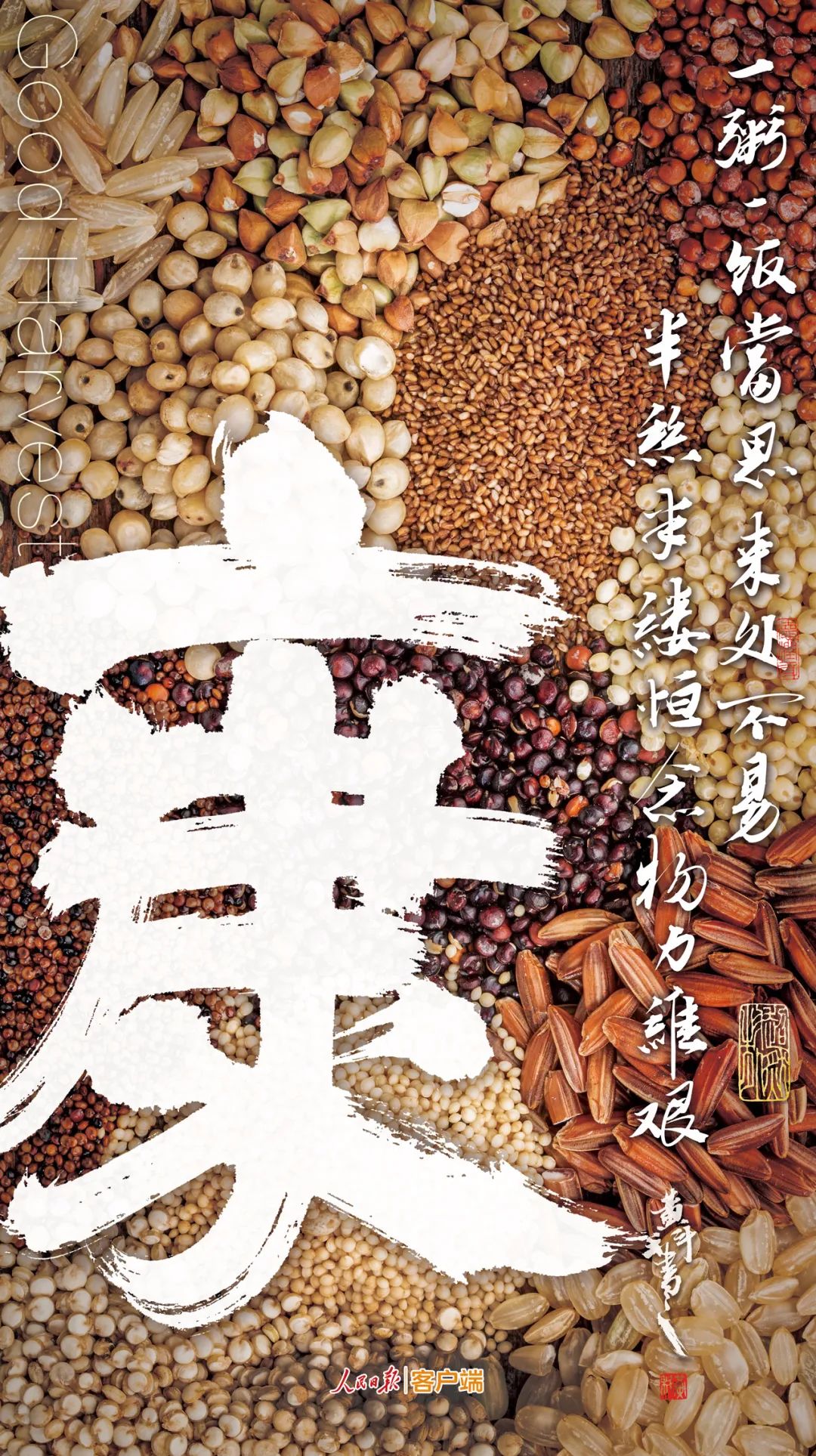 |九个字！感受中国丰收图景
