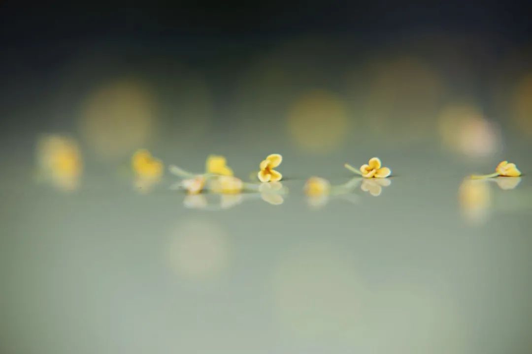 秋分|秋分 · 丰收节丨秋色为伴 收获正好