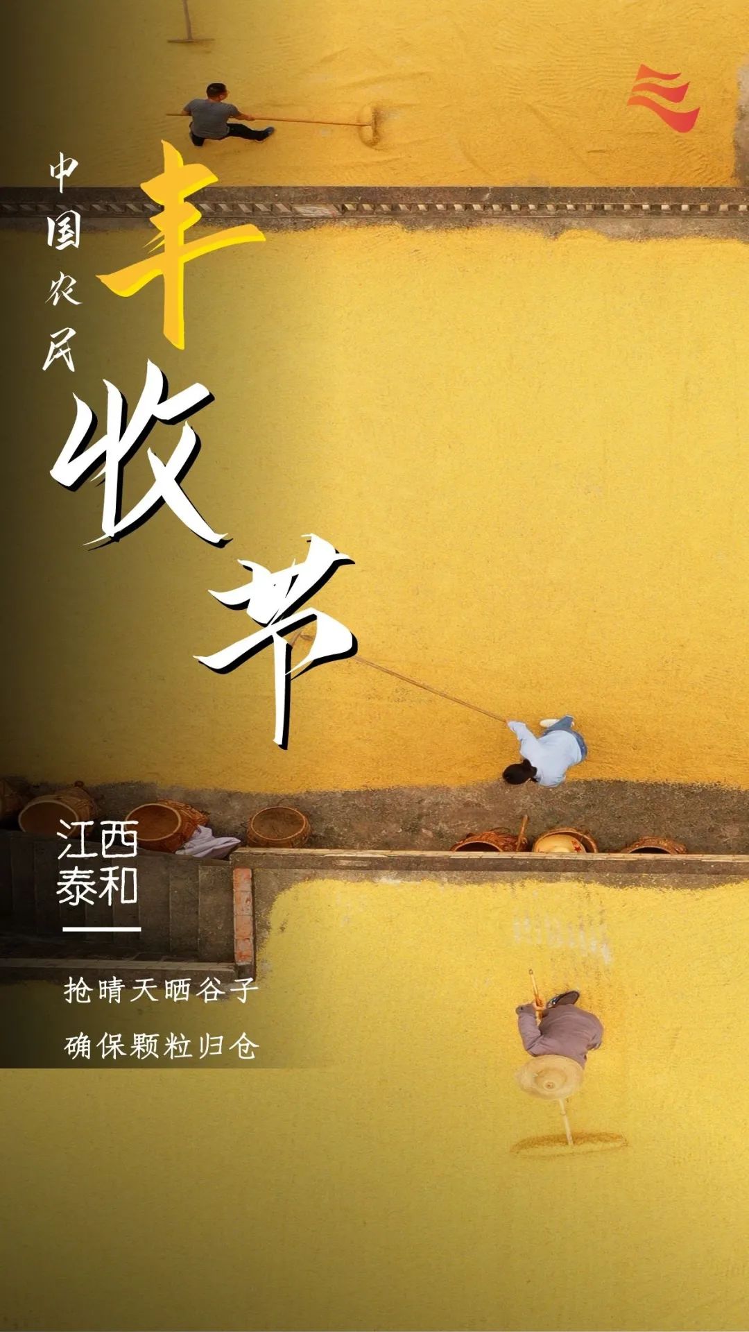 秋分|秋分 · 丰收节丨秋色为伴 收获正好