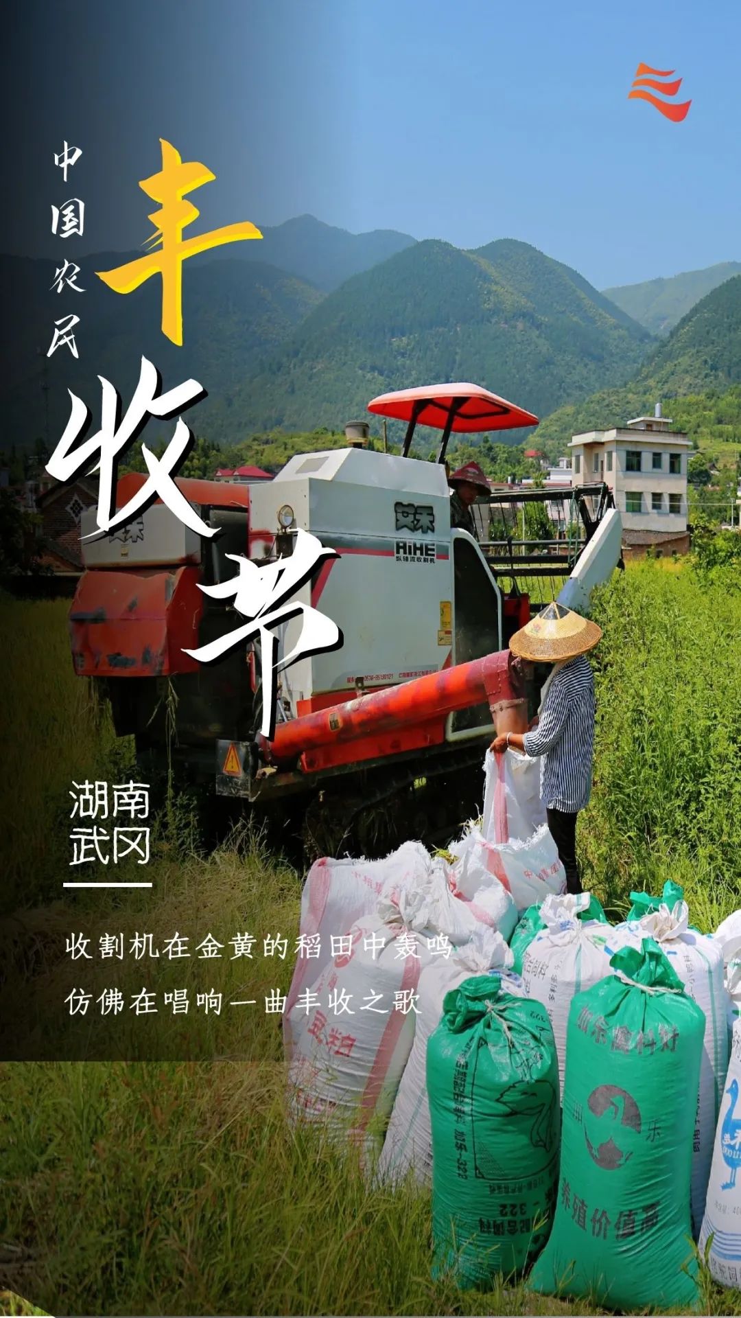 秋分|秋分 · 丰收节丨秋色为伴 收获正好