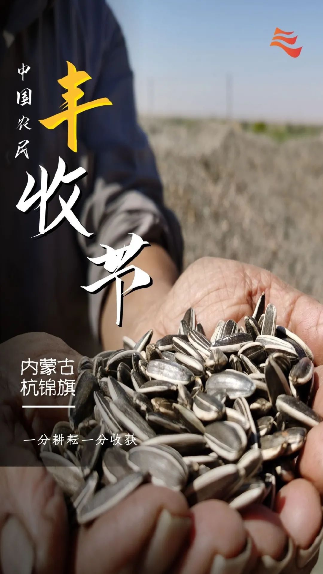 秋分|秋分 · 丰收节丨秋色为伴 收获正好