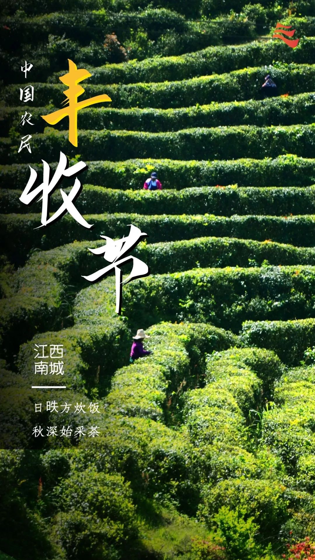 秋分|秋分 · 丰收节丨秋色为伴 收获正好