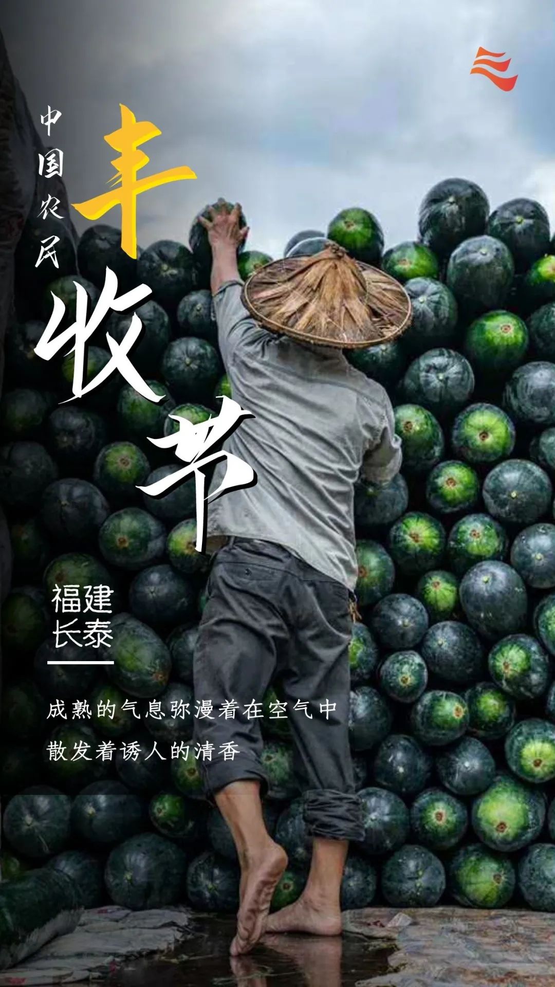 秋分|秋分 · 丰收节丨秋色为伴 收获正好