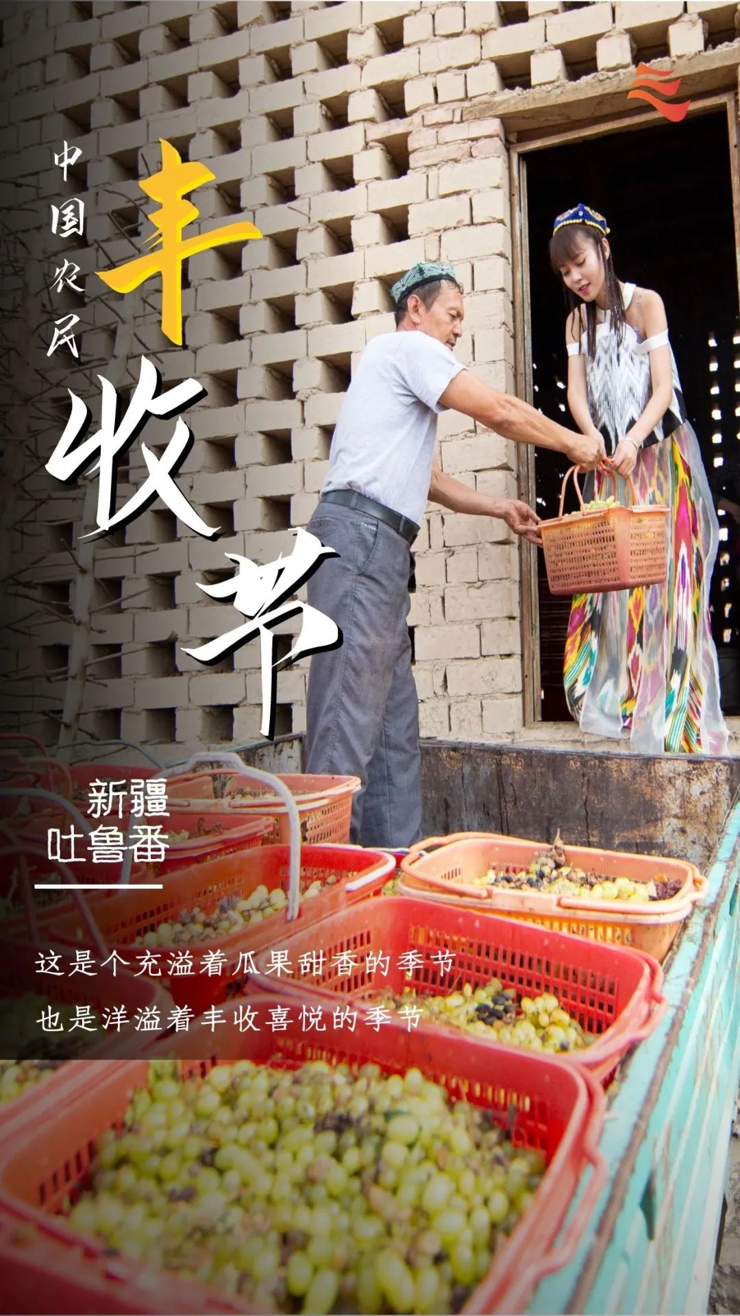 秋分|秋分 · 丰收节丨秋色为伴 收获正好