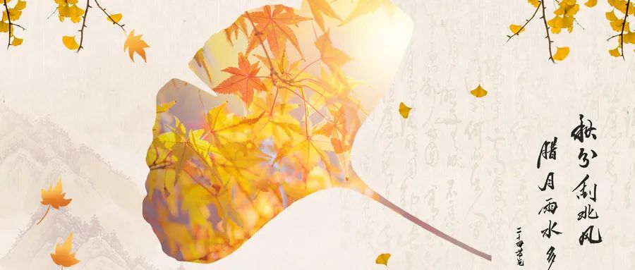 秋分|今日秋分｜昼夜均而寒暑平，“入秋”需从这四点入手调养！