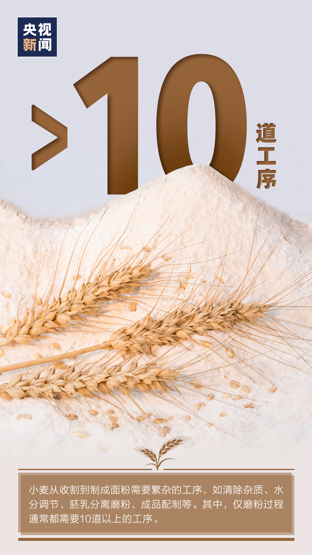 |特别不容易！丰收背后的艰辛，你可能从未了解