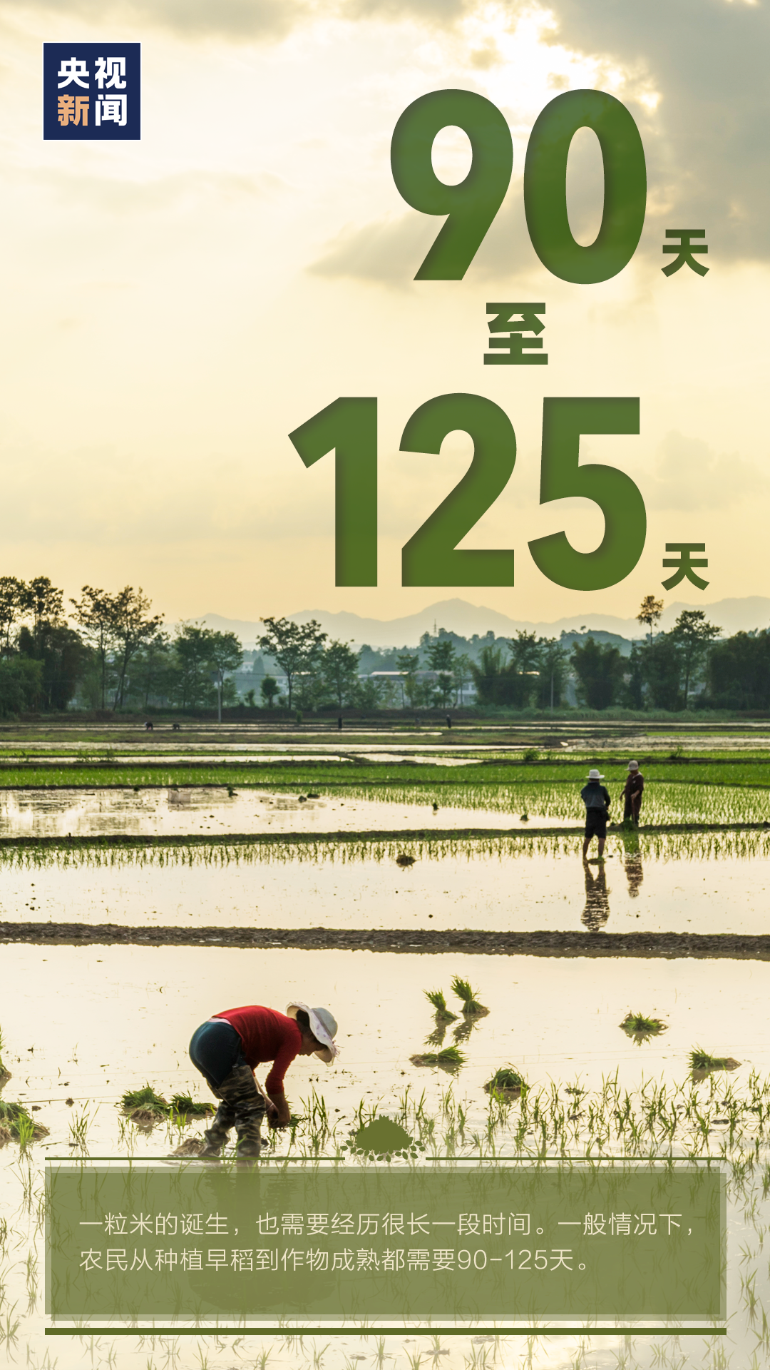 |特别不容易！丰收背后的艰辛，你可能从未了解