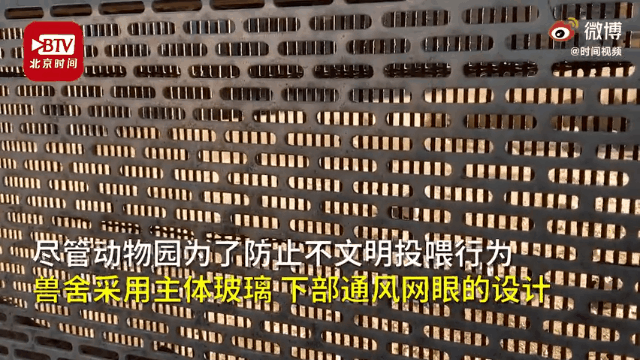 动物|行为太迷惑,动物园把她列入黑名单……