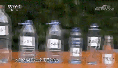 大象|您真的了解大象吗？它们“一指神功”的“超能力”反正我是慕了