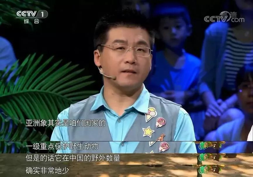 大象|您真的了解大象吗？它们“一指神功”的“超能力”反正我是慕了