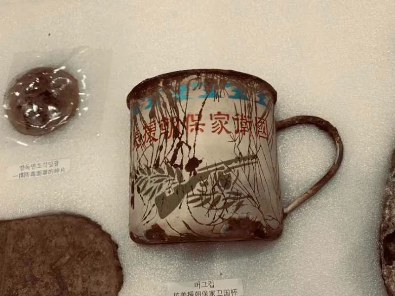 韩方|117位烈士,回家!