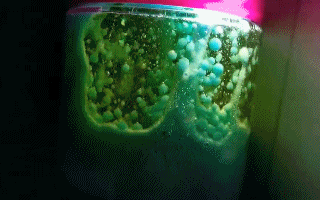 电池|秋天的第一阵电磁波 | 正经玩