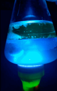 电池|秋天的第一阵电磁波 | 正经玩