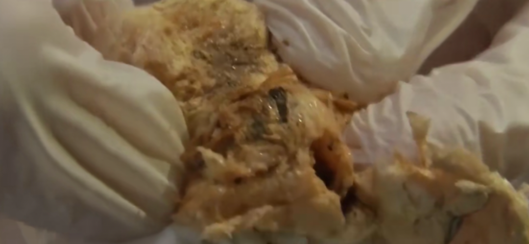 外来物种|玩具内藏4000只虫卵,外来物种正在你身边悄悄繁衍。