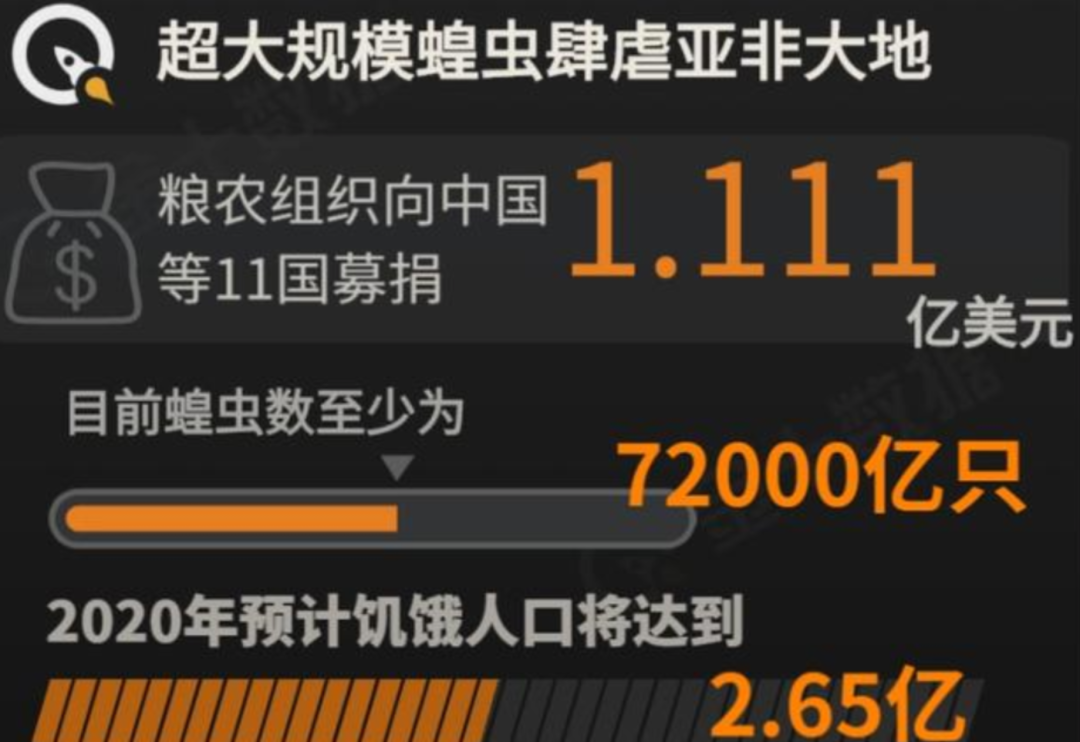 外来物种|玩具内藏4000只虫卵,外来物种正在你身边悄悄繁衍。