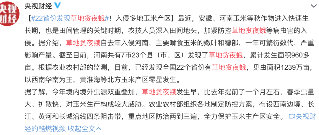 外来物种|玩具内藏4000只虫卵,外来物种正在你身边悄悄繁衍。