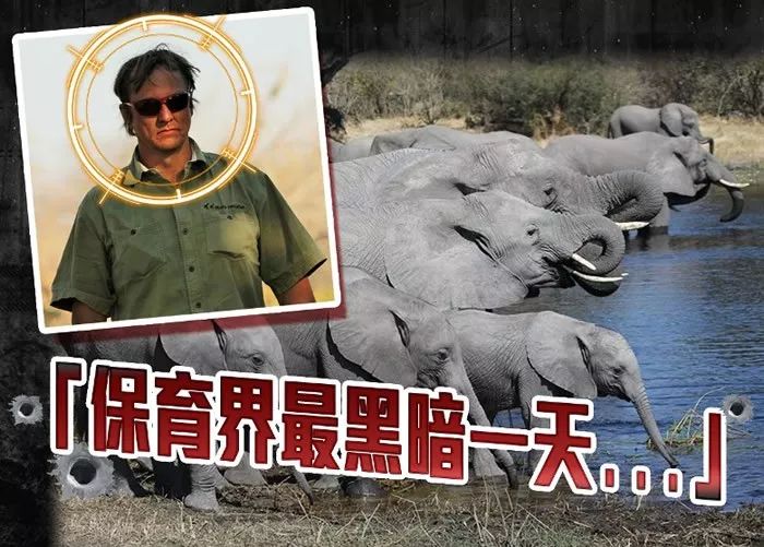 杨凤兰|身背400多条命，却被判15年，这个中国女人成世界公敌