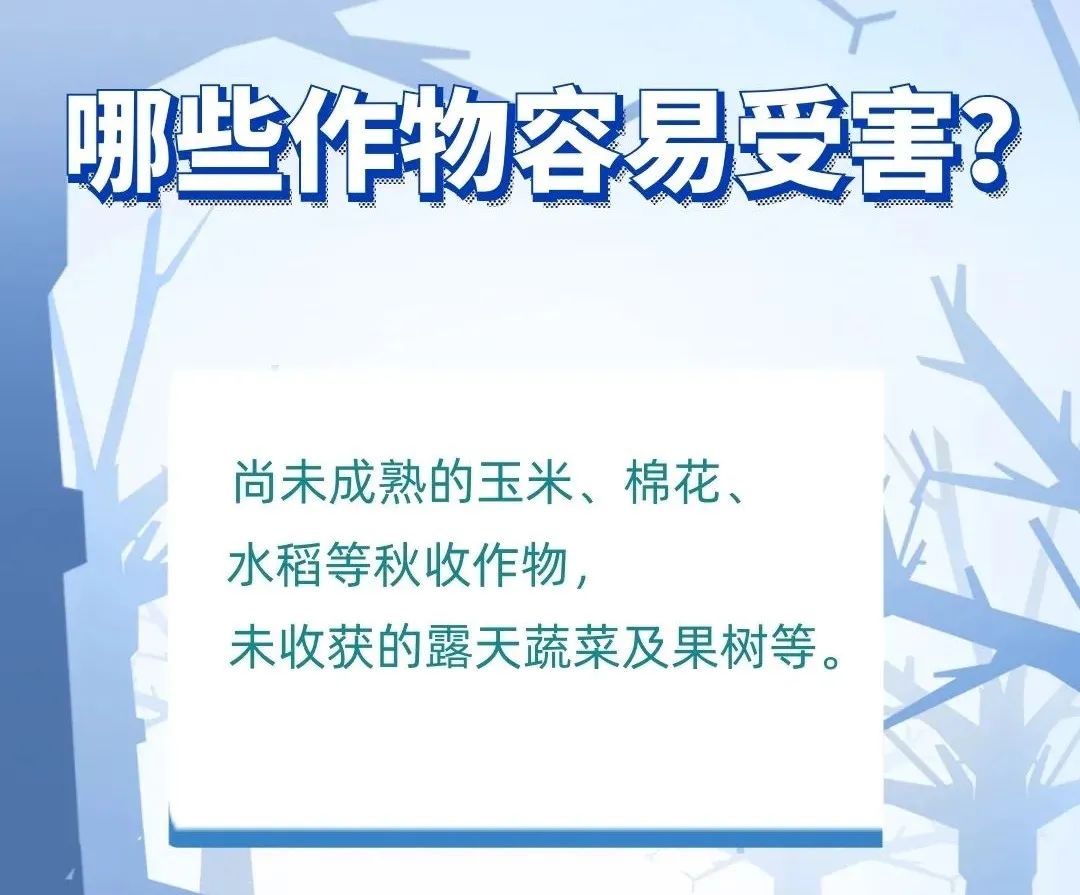 中国气象局|注意，预报图上多了条“带刺”的红线！事关温饱~