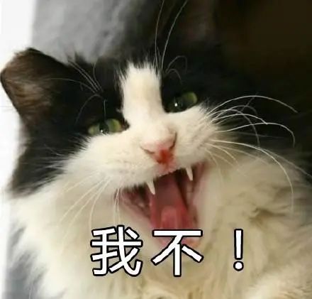 社会|男子网购孔雀蛋，结果孵出……给我整笑了