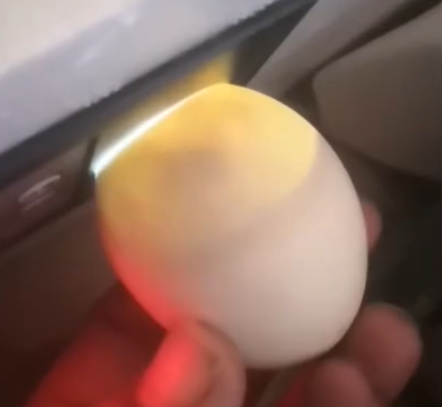 社会|男子网购孔雀蛋，结果孵出……给我整笑了