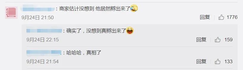 社会|男子网购孔雀蛋，结果孵出……给我整笑了